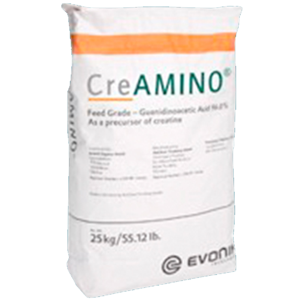 CREAMINO